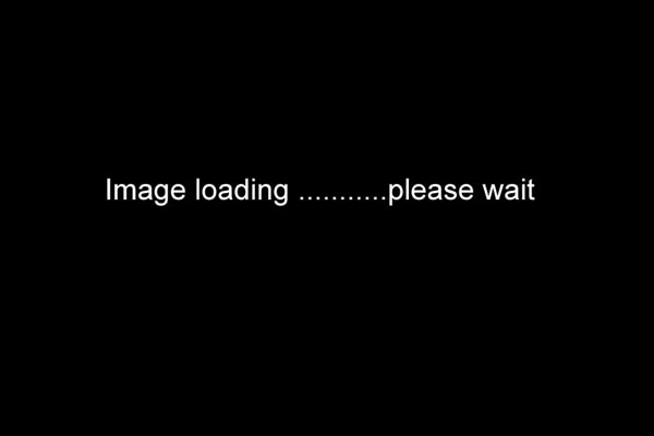 Image loading - please wait