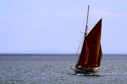 Mevagissey working sail regatta - FY7 Our Daddy