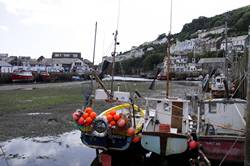 Looe